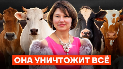 Убивает скот и издевается над народом. Как живет министр сельского хозяйства России